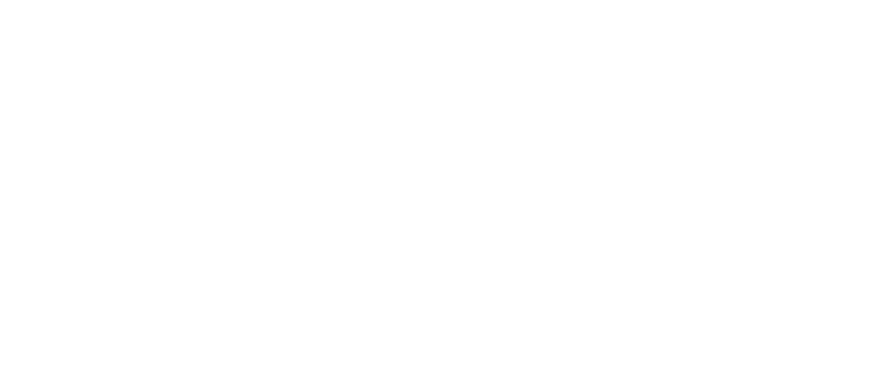 The Bob & Renee Parsons Foundation Logo